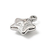 304 Stainless Steel Charms STAS-F327-03C-P-2