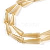 Natural Trochus Shell Beads Strands BSHE-G036-04-3