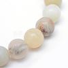 Round Natural Flower Amazonite Bead Strands G-R345-4mm-17-3