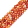 Natural Carnelian Beads Strands G-F718-07-1