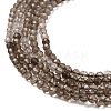 Natural Smoky Quartz Beads Strands G-E608-A04-3
