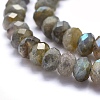 Natural Labradorite Beads Strands G-O170-59E-3