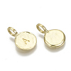 Alloy Pendants X-PALLOY-N157-004A-NR-2
