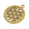 Tibetan Style Alloy Pendants AL-CBA1187-16AG-2