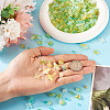 DIY Jewelry Making Findings Kits DIY-TA0012-42A-6