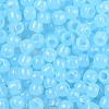 TOHO 11/0 Round Beads X-SEED-TR11-1143-4