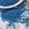 MIYUKI Delica Beads Small X-SEED-J020-DBS0862-1