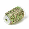 3-Ply Segment Dyed Nylon Braided Cords NWIR-F011-01D-2