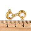 Ion Plating(IP) 304 Stainless Steel Charms STAS-N103-124G-3