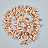 Natural Spiral Shell Beads Strands BSHE-SZ0001-05-2