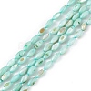 Natural Freshwater Shell Dyed Beads Strands SHEL-M018-13-02-1