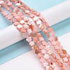 Natural Freshwater Shell Beads Strands SHEL-H002-03D-2