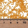 15/0 Transparent Czech Glass Seed Beads SEED-N004-004-01-6