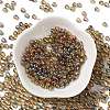 Glass Seed Beads SEED-H002-A-A623-2