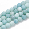 Natural Amazonite Beads Strands G-T106-189-1