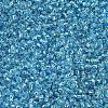 MIYUKI Round Rocailles Beads SEED-X0054-RR2429-3