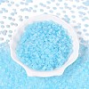 Baking Paint Glass Seed Beads GLAA-T023-43E-1