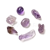 Natural Amethyst Chip Beads G-Q193-02C-2