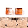 Baking Paint Transparent Glass Beads X1-DGLA-N005-01A-08-4