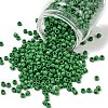 TOHO 6/0 Round Beads SEED-TR06-0047D-1