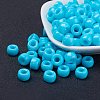 Opaque Acrylic European Large Hole Beads PL338-9-1