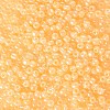6/0 Glass Seed Beads SEED-US0003-4mm-142-2
