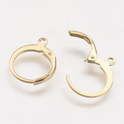 304 Stainless Steel Leverback Earring Findings STAS-F041-47-G-1