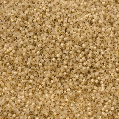 MIYUKI Delica Beads Small SEED-X0054-DBS0230-1