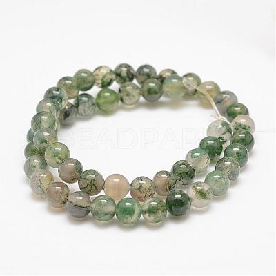 Natural Moss Agate Beads Strands G-F453-4mm-1