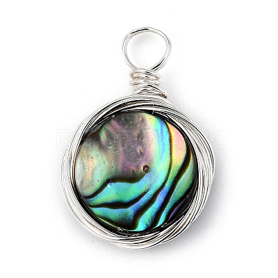 Natural Abalone Shell/Paua Shell Pendants PALLOY-JF00457-05-1