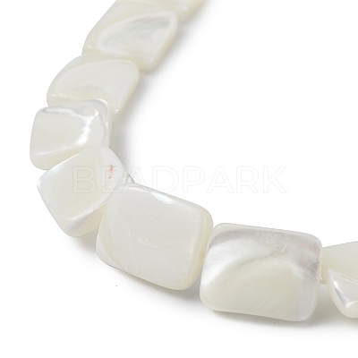 Natural Trochid Shell/Trochus Shell Beads Strands BSHE-G033-01-1