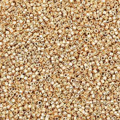 MIYUKI Delica Beads X-SEED-J020-DB2501-1