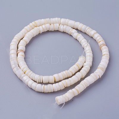 Shell Beads Strands SSHEL-E571-49I-1
