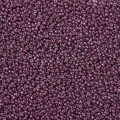 MIYUKI Round Rocailles Beads SEED-JP0009-RR0313-1