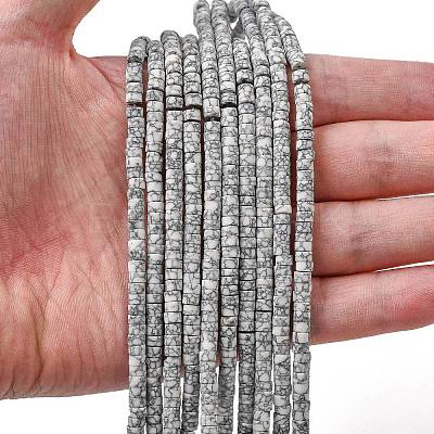 Dyed Synthetic Turquoise Beads Strands G-Z089-A04-A-1