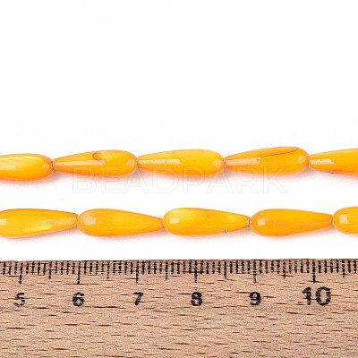 Natural Freshwater Shell Beads Strands SHEL-A004-03D-1
