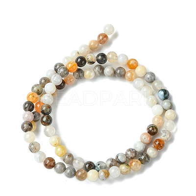 Natural Bamboo Leaf Agate Round Beads Strands G-M248-4mm-04-1