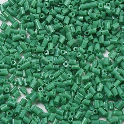 Two Cut Glass Seed Beads CSDB47-1