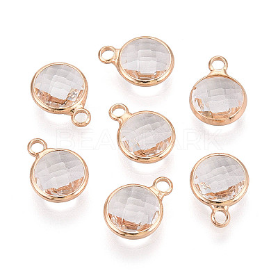 Golden Tone Brass Glass Charms GLAA-ZX008-24E-G-1