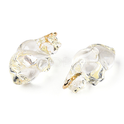 Transparent Resin Pendants RESI-E028-01G-09-1