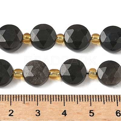 Natural Silver Sheen Obsidian Beads Strands G-G271-C08-10mm-1
