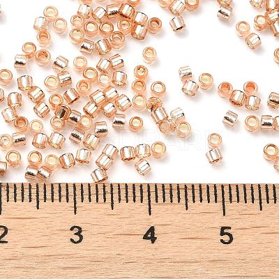 Glass Seed Beads SEED-S042-04B-17-1