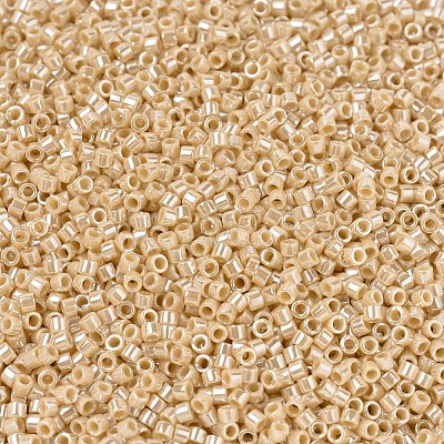 MIYUKI Delica Beads X-SEED-J020-DB1561-1