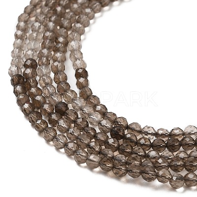 Natural Smoky Quartz Beads Strands G-E608-A04-1