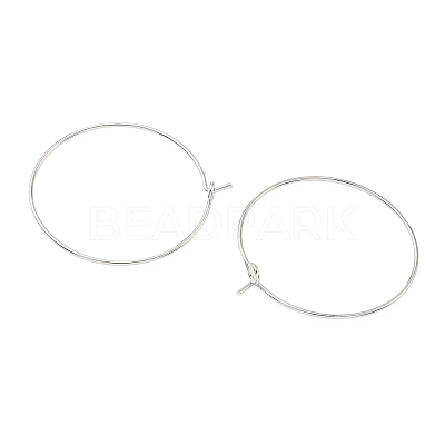 SHEGRACE Brass Hoop Earrings Findings XGR0005P-70P-1