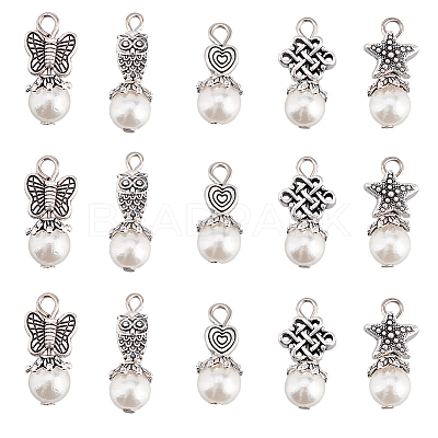6 Sets Acrylic Imitated Pearl Pendants FIND-AR0003-39-1