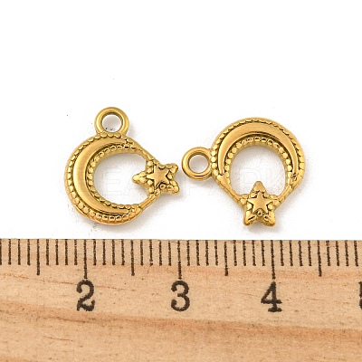 Ion Plating(IP) 304 Stainless Steel Charms STAS-N103-124G-1