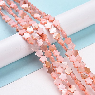 Natural Freshwater Shell Beads Strands SHEL-H002-03D-1