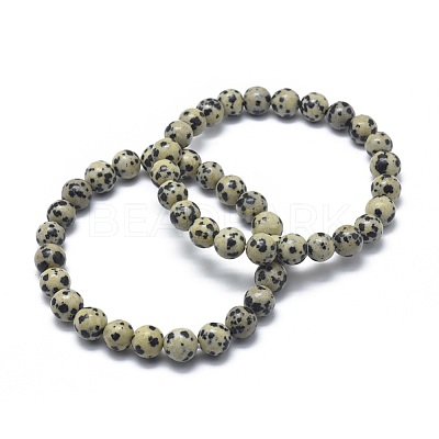 Natural Dalmatian Jasper Bead Stretch Bracelets BJEW-K212-C-014-1