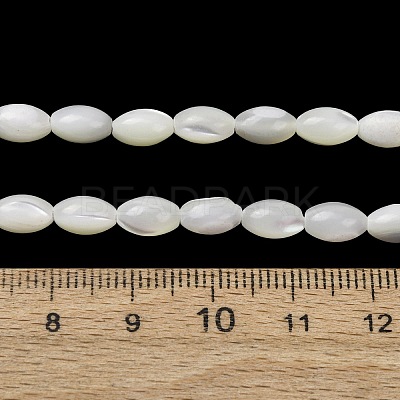 Natural Trochid Shell/Trochus Shell Beads Strands SH-CBA2978-09-1